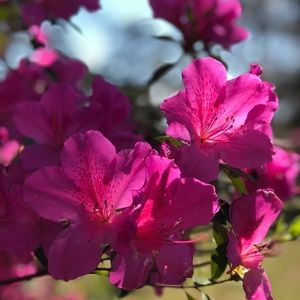 Meet your Posher, Catherine